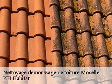 Nettoyage demoussage de toiture 57 Moselle  Couvreur Bouillon