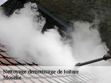 Nettoyage demoussage de toiture Moselle 