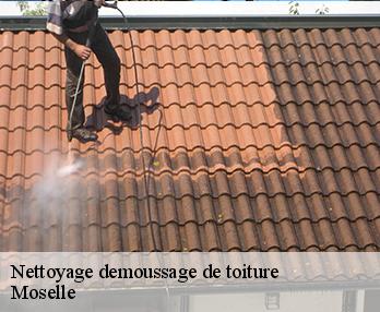 Nettoyage demoussage de toiture