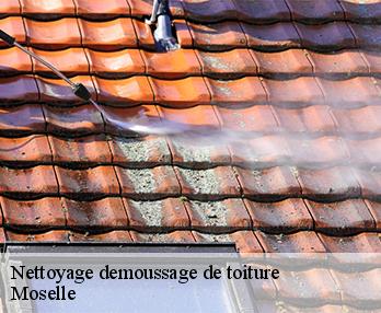 Nettoyage demoussage de toiture Moselle 