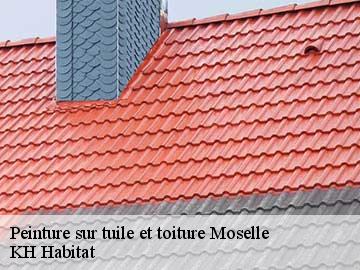 Peinture sur tuile et toiture 57 Moselle  Couvreur Bouillon