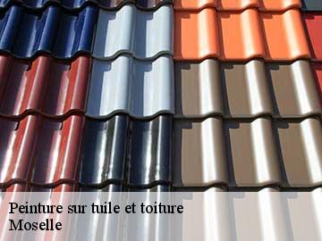 Peinture sur tuile et toiture Moselle