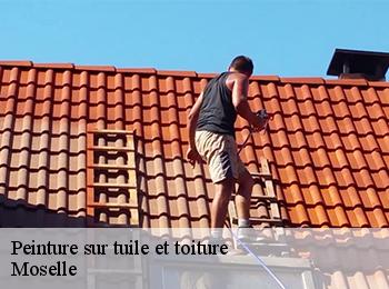 Peinture sur tuile et toiture
