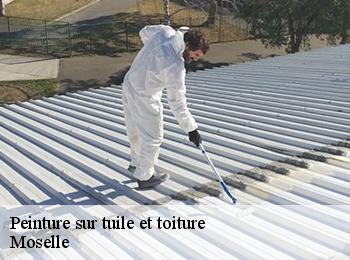 Peinture sur tuile et toiture Moselle 