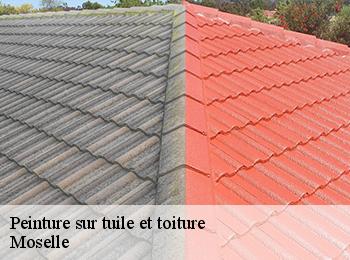 Peinture sur tuile et toiture Moselle 