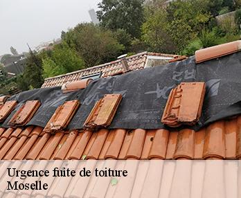 Urgence fuite de toiture