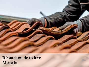 Réparation de toiture Moselle