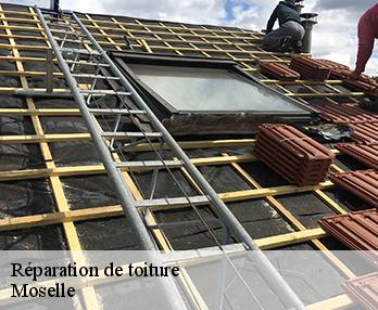 Réparation de toiture Moselle 