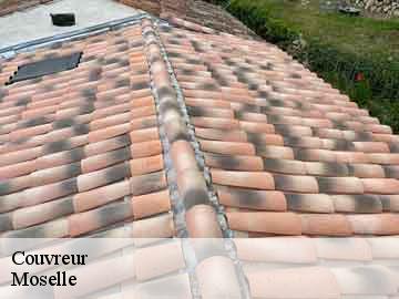 Couvreur Moselle 