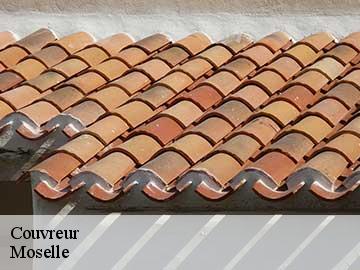 Couvreur Moselle