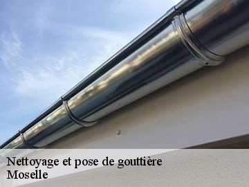 Nettoyage et pose de gouttière Moselle