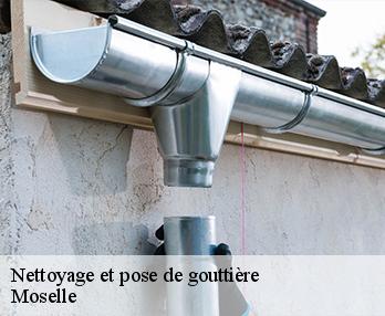 Nettoyage et pose de gouttière Moselle
