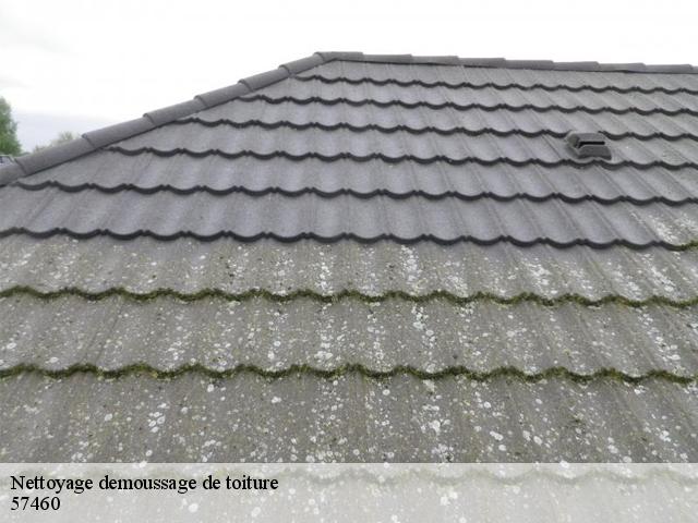 Nettoyage de toiture à Behren Les Forbach 57460 tél: 03.59.28.30.89