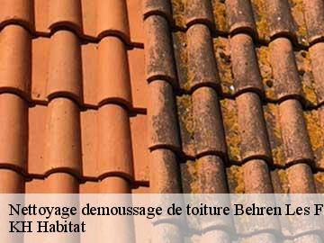 Nettoyage demoussage de toiture behren-les-forbach-57460 KH Habitat