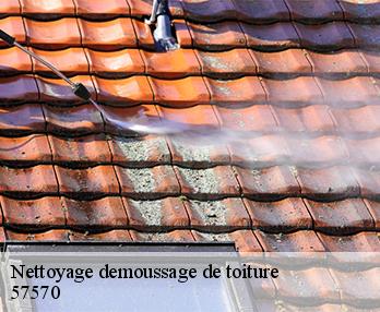 Nettoyage demoussage de toiture  57570
