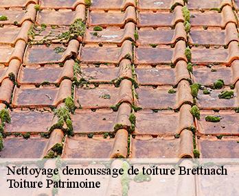 Nettoyage demoussage de toiture  57320
