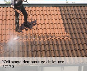 Nettoyage demoussage de toiture