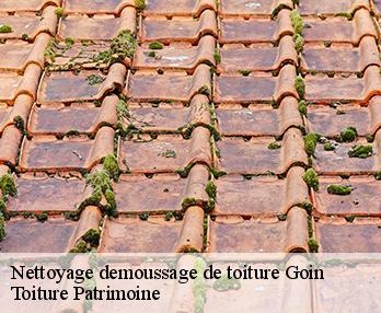 Nettoyage demoussage de toiture  57420