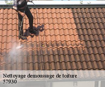 Nettoyage demoussage de toiture