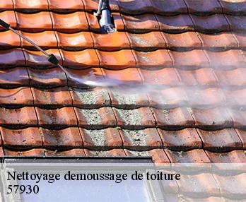 Nettoyage demoussage de toiture 57930