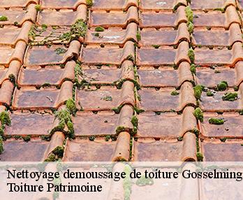 Nettoyage demoussage de toiture 57930