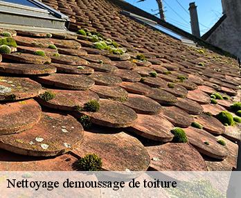 Nettoyage demoussage de toiture 57930