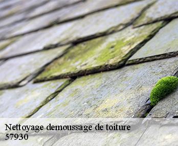 Nettoyage demoussage de toiture 57930