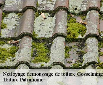 Nettoyage demoussage de toiture