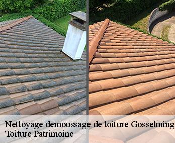 Nettoyage demoussage de toiture gosselming-57930 Toiture Patrimoine