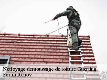Nettoyage demoussage de toiture guerting-57880 Fortin Renov