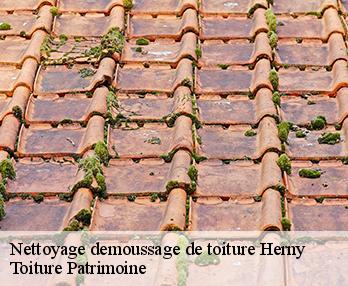 Nettoyage demoussage de toiture  57580