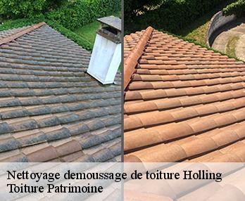Nettoyage demoussage de toiture  holling-57220 Toiture Patrimoine