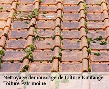 Nettoyage demoussage de toiture  57240