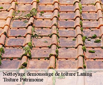 Nettoyage demoussage de toiture  57660