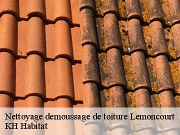 Nettoyage demoussage de toiture  lemoncourt-57590 Couvreur Bouillon