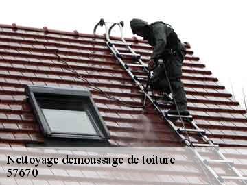 Nettoyage demoussage de toiture  57670