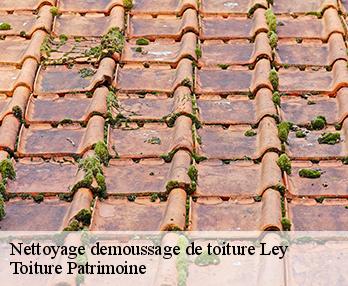 Nettoyage demoussage de toiture  57810