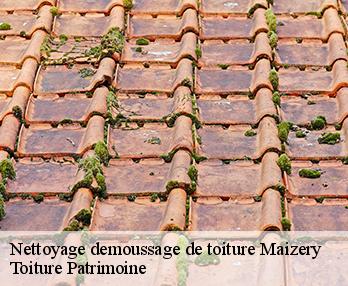 Nettoyage demoussage de toiture 57530