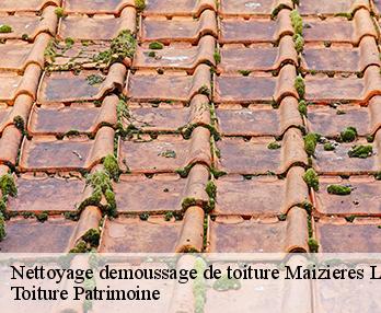 Nettoyage demoussage de toiture  57210