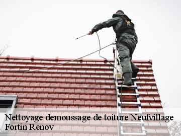Nettoyage demoussage de toiture  neufvillage-57670 Fortin Renov
