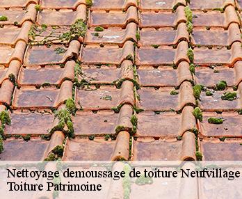 Nettoyage demoussage de toiture  57670