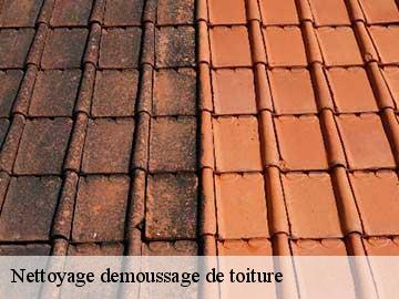 Nettoyage demoussage de toiture