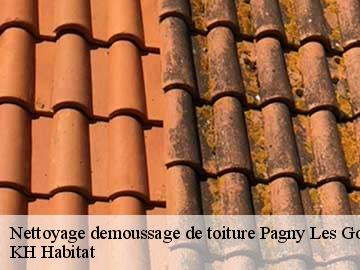 Nettoyage demoussage de toiture pagny-les-goin-57420 KH Habitat