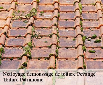 Nettoyage demoussage de toiture  57340