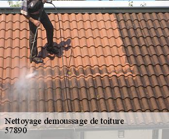 Nettoyage demoussage de toiture