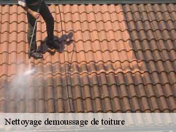 Nettoyage demoussage de toiture