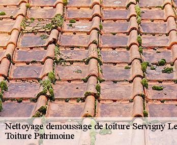Nettoyage demoussage de toiture  57640
