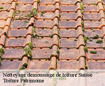 Nettoyage demoussage de toiture  57340
