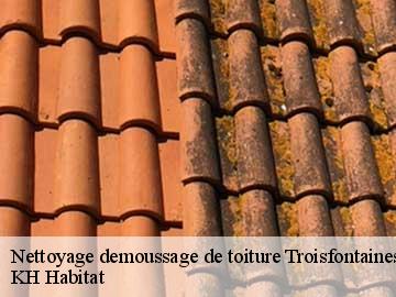 Nettoyage demoussage de toiture  troisfontaines-57870 Couvreur Bouillon