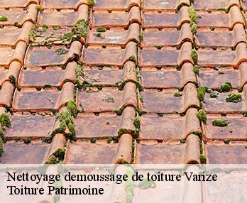 Nettoyage demoussage de toiture 57220